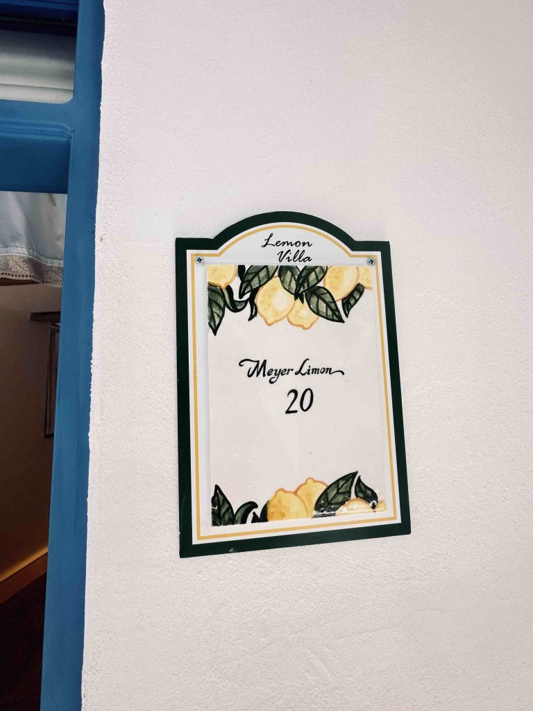 20 MEYER LEMON DELUXE ROOM