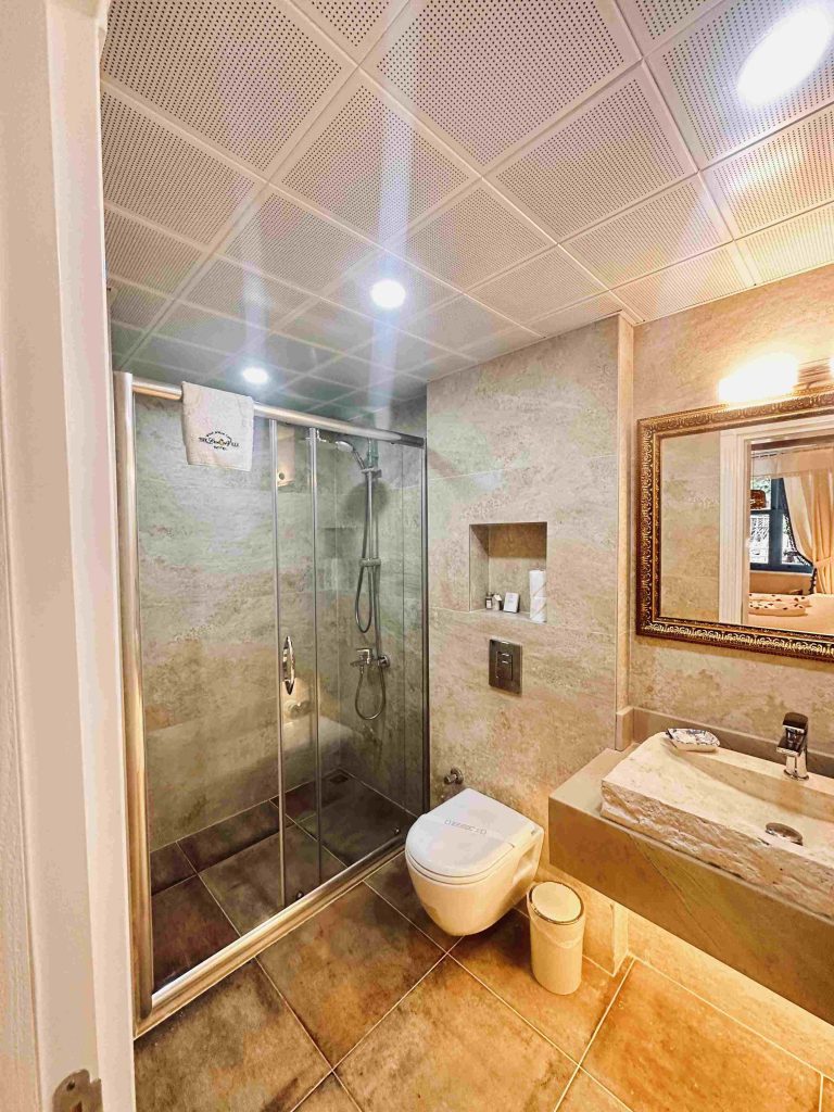 21 PINK LEMON DELUXE ROOM