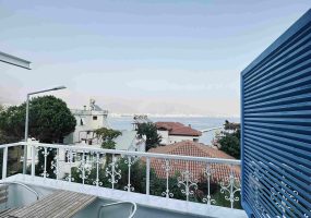 22 LEMON FLOWER ROYAL SUIT